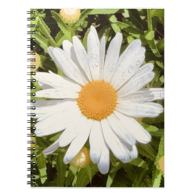 New England Flower Photo Notebook (Front)