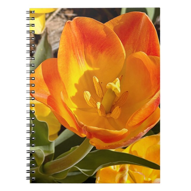 New England Flower Photo Notebook (Front)