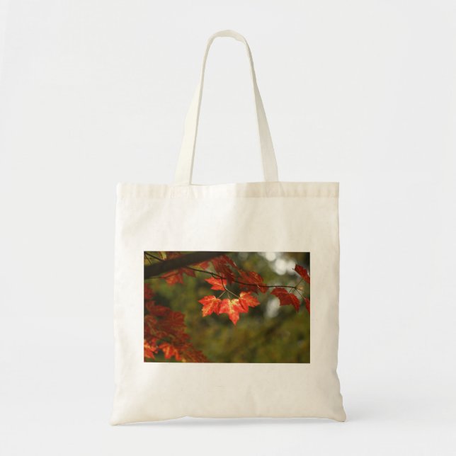 New England Maple fall foliage tote bag (Front)