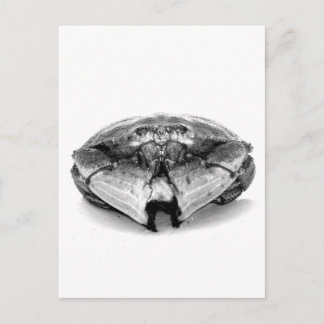 New England Rock Crab I Postcard