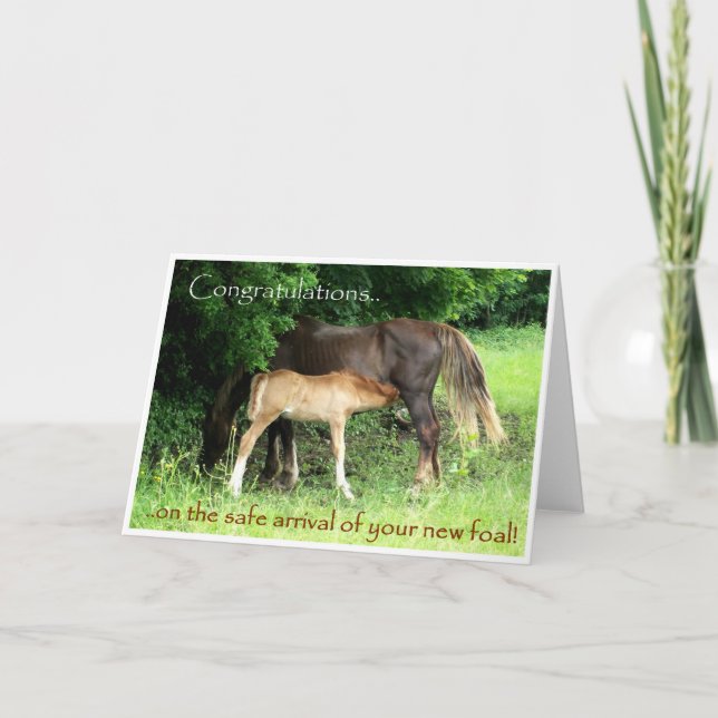 New Foal Congratulations Card (Front)