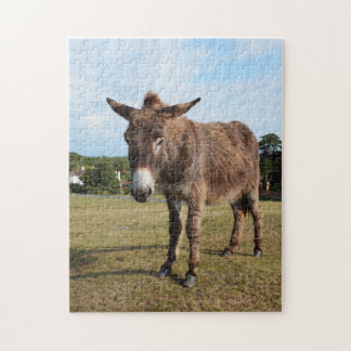 New Forest donkey jigsaw puzzle