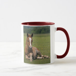 New Forest Foal Mug