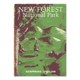 New Forest, Hampshire, England Photo Print