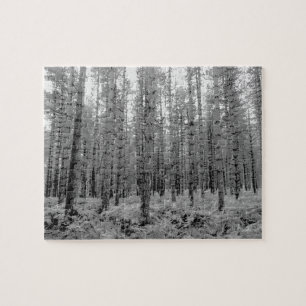 New Forest, Hampshire Pine Tree Forest Jigsaw Puzzle