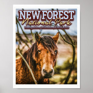 NEW FOREST NATIONAL PARK - NEW FOREST PONY POSTER