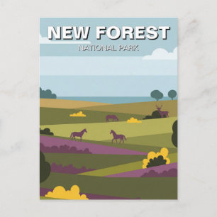 New Forest National Park Travel Postcard
