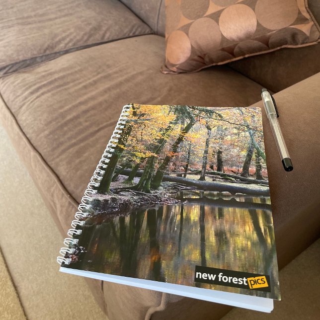 New Forest Notebook (Creator Uploaded)