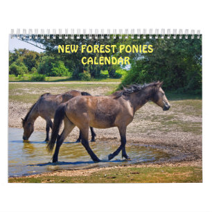 New Forest Ponies Calendar