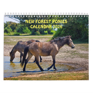 New Forest Ponies Calendar 2025