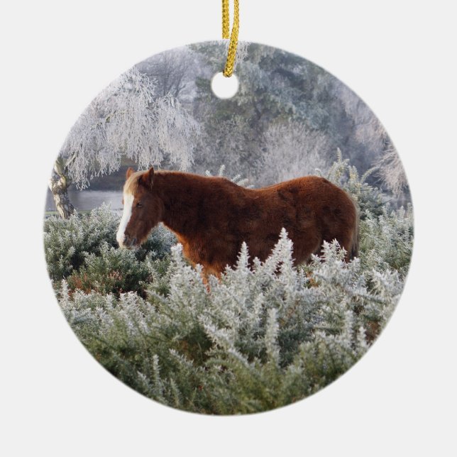 New Forest ponies ornament (Front)