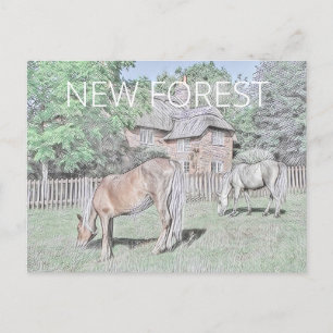New Forest Ponies Postcard
