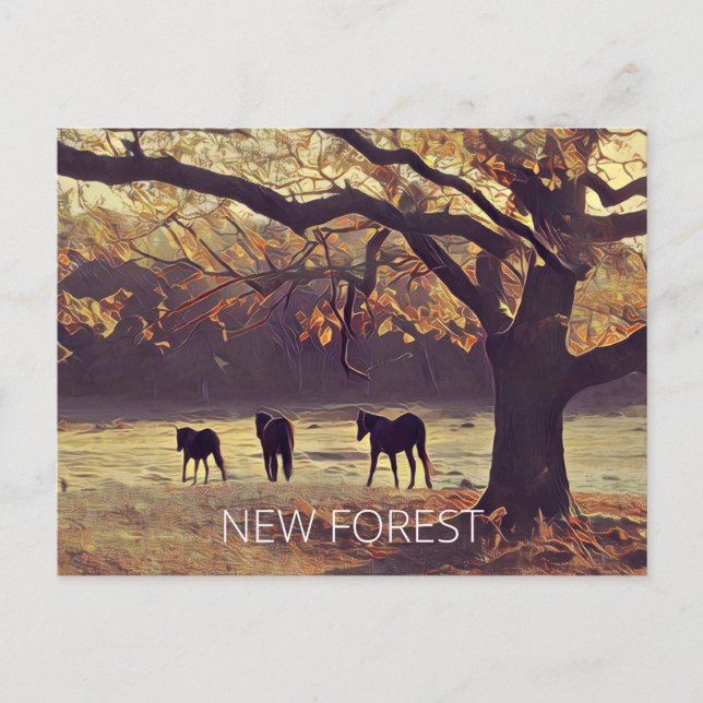 New Forest Ponies Postcard (Front)