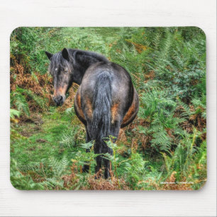 New Forest Pony & Bracken for Horse-lovers Mouse Pad