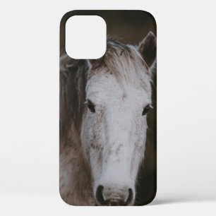NEW FOREST PONY iPhone 12 CASE