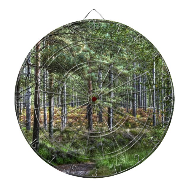 New Forest Woodlands HDR Photo Dartboard (Front)