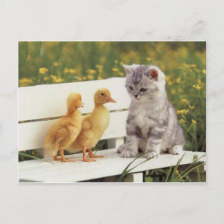 New Friends Postcard