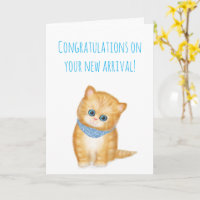 New ginger kitten congratulations card for couple