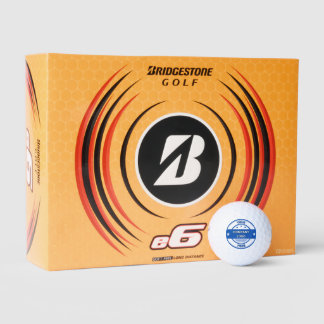 NEW! Golf Balls - Bridgestone e6 Golf Ba - 12 pack