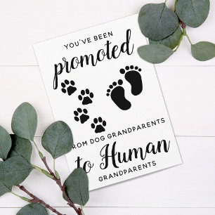 New Grandparents Pregnancy Announcement Card