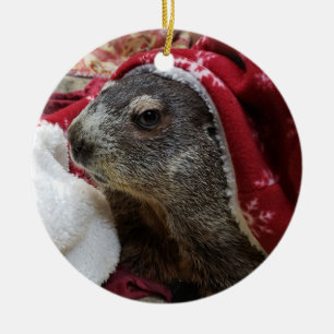 NEW!  Groundhog Carrie Christmas Ornamant 2 Ceramic Ornament