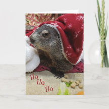 NEW!!! Groundhog Christmas Card B