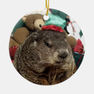 NEW!  Groundhog Moses Christmas Ornament