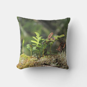 New Growth Fern Moss Nature Enthusiast Green Plant Cushion