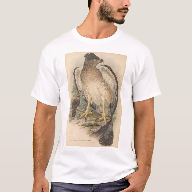 New Guinea Eagle, adult T-Shirt (Front)