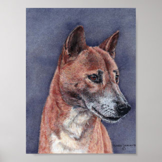 New Guinea Singing Dog Portrait Poster