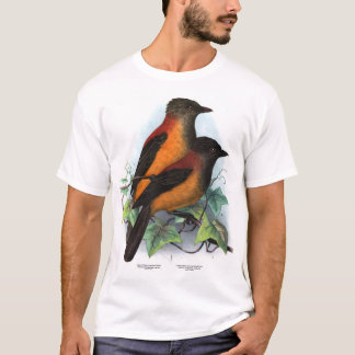 New Guinea: Two Pitohui Species T-Shirt