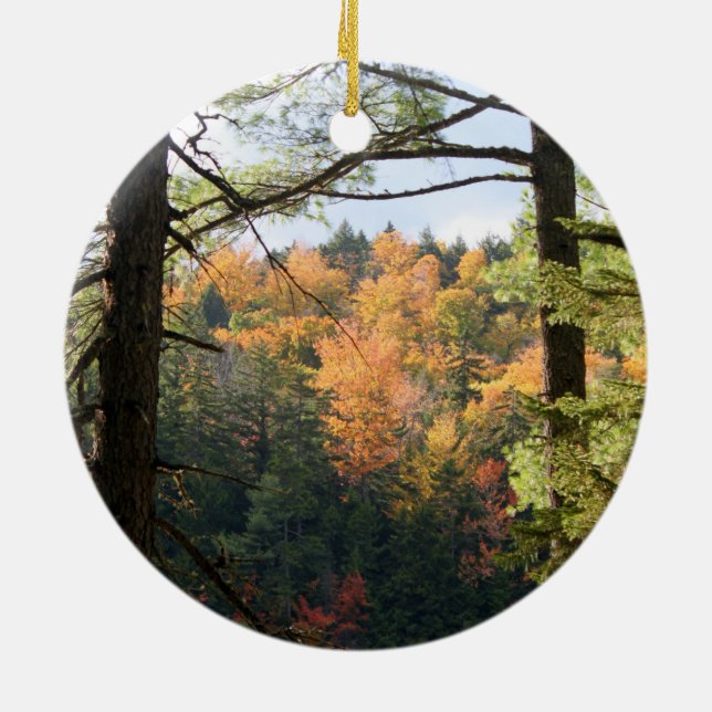 New Hampshire 7729 Ornament (Back)