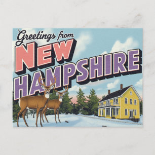 New Hampshire Deer Winter Scene Postcard