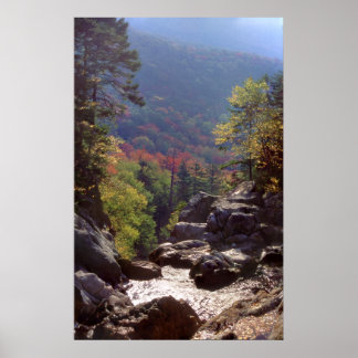 New Hampshire Fall Colours Poster