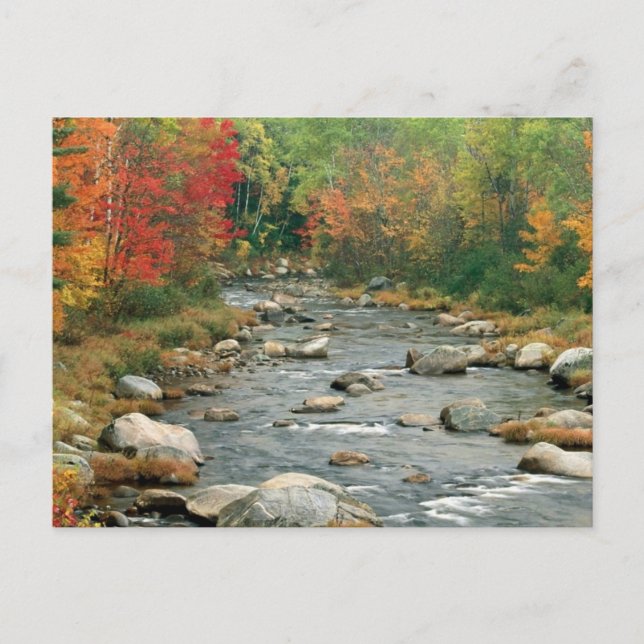 New Hampshire Fall Postcard (Front)