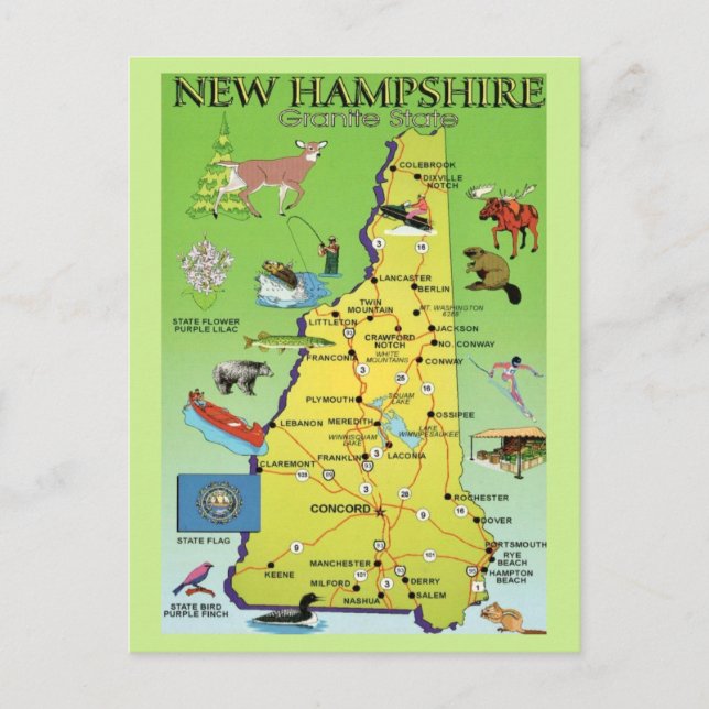  New Hampshire Illustrated  Map Postcard (Front)