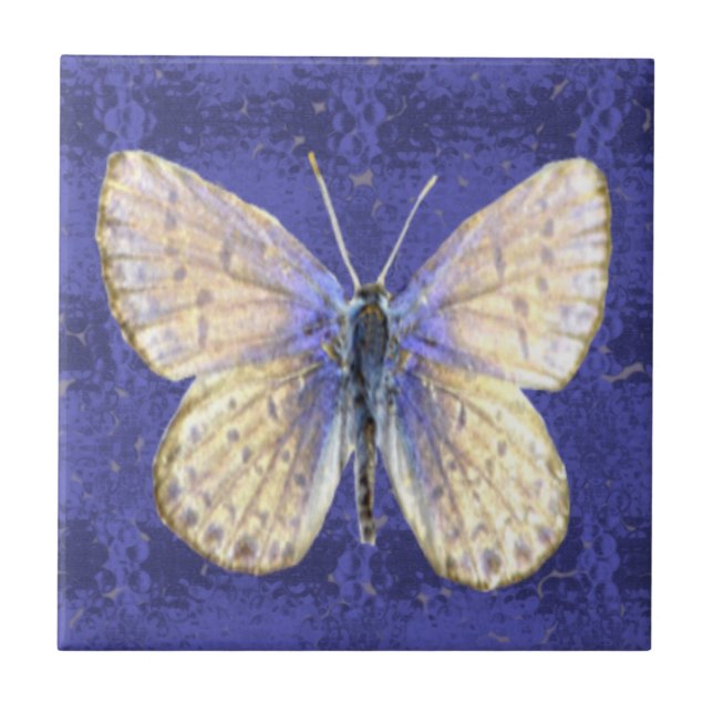 New Hampshire Karner Blue Butterfly Tile (Front)