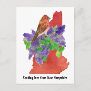 New Hampshire Love Purple Finch Lilac State Shape Postcard