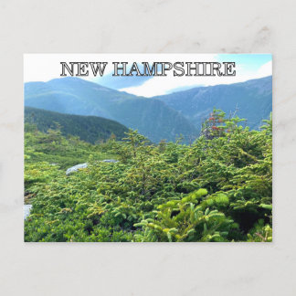 New Hampshire Postcard
