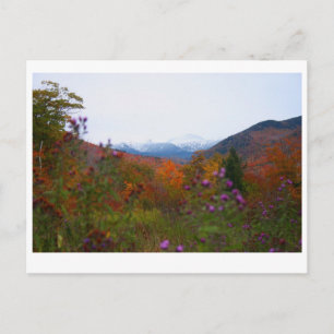 New Hampshire Postcard