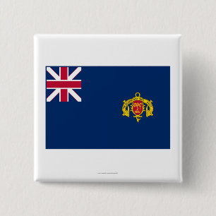 New Hampshire Second Regiment Flag 15 Cm Square Badge