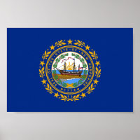 New Hampshire State Flag