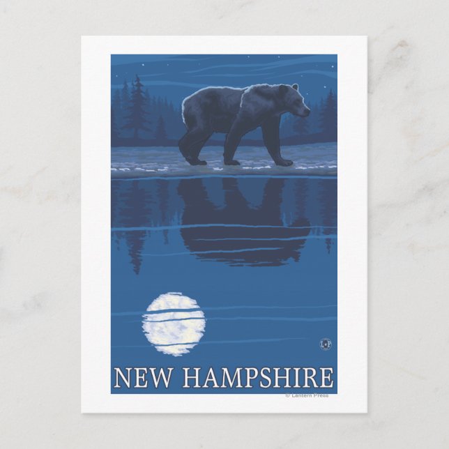 New HampshireBear in the Moonlight Postcard (Front)