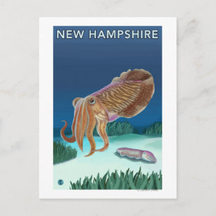 New HampshireCuttlefish Scene Postcard