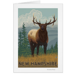 New HampshireElk Scene