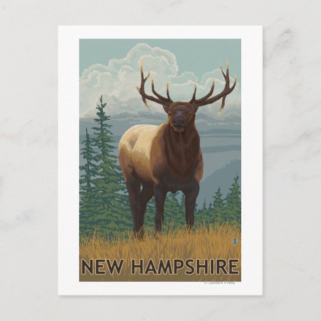 New HampshireElk Scene Postcard (Front)