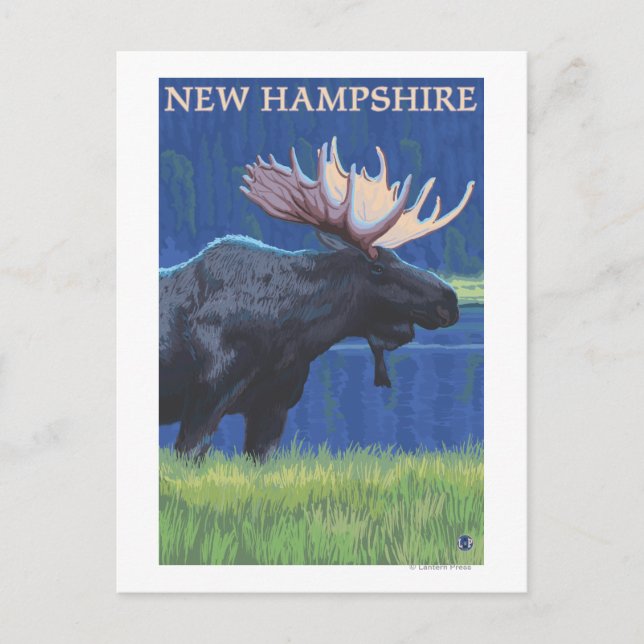 New HampshireMoose in the Moonlight Postcard (Front)