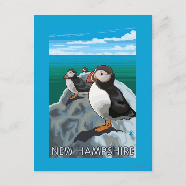 New HampshirePuffins Scene Postcard (Front)