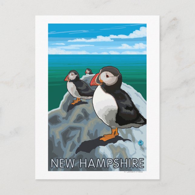 New HampshirePuffins Scene Postcard (Front)
