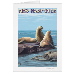 New HampshireSea Lions Scene